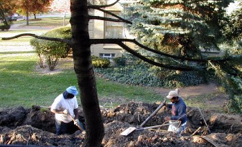 Maurice and Cruz clear roots in drain line trench along driveway.