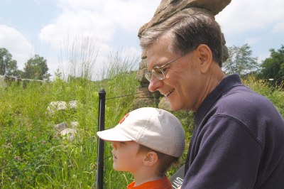 Look out there in the tall grass