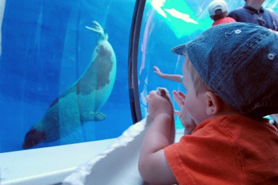 What a swimmer--looks like fun