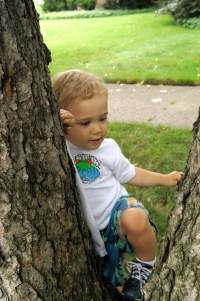 Always wanted to try tree clim'n